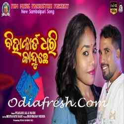 Bihacard Dhari Kanduche